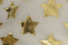 Organza Star 023
