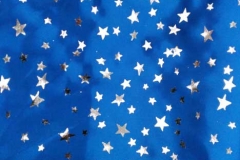 Raso Estrellitas 034
