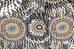 Punto Licra Estampado